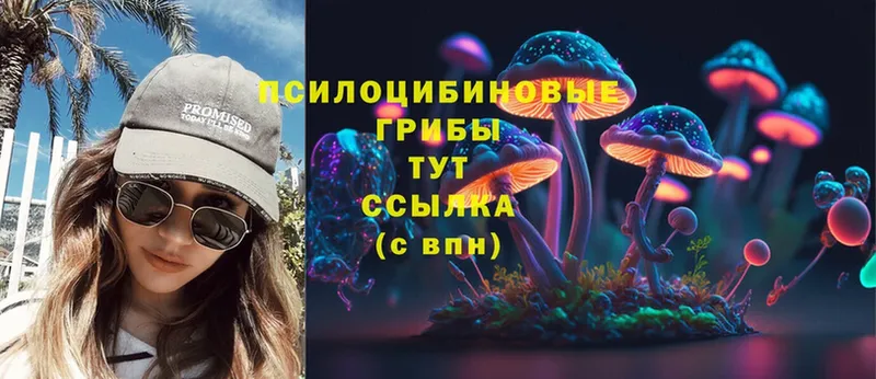 Псилоцибиновые грибы Magic Shrooms Гусь-Хрустальный